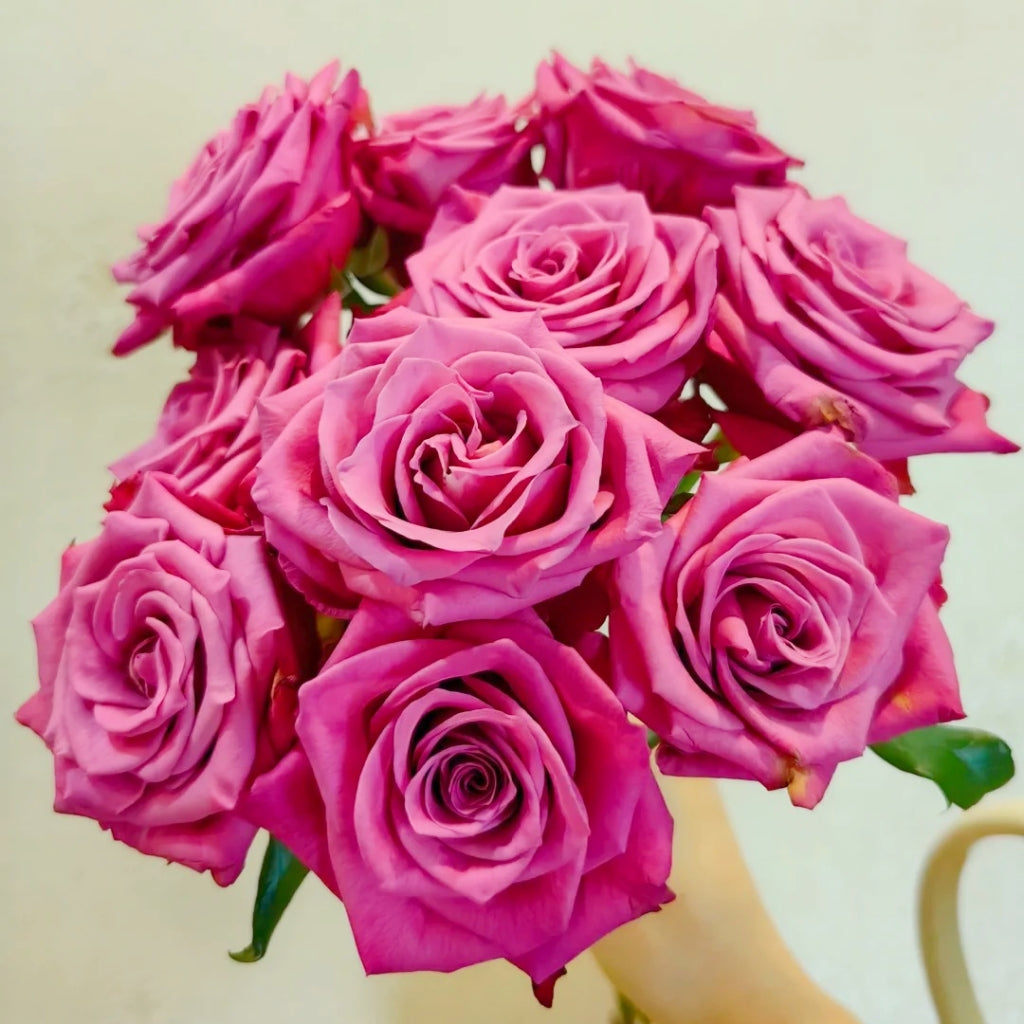 Cool Blue Rose