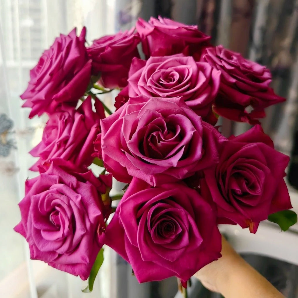 Cool Blue Rose