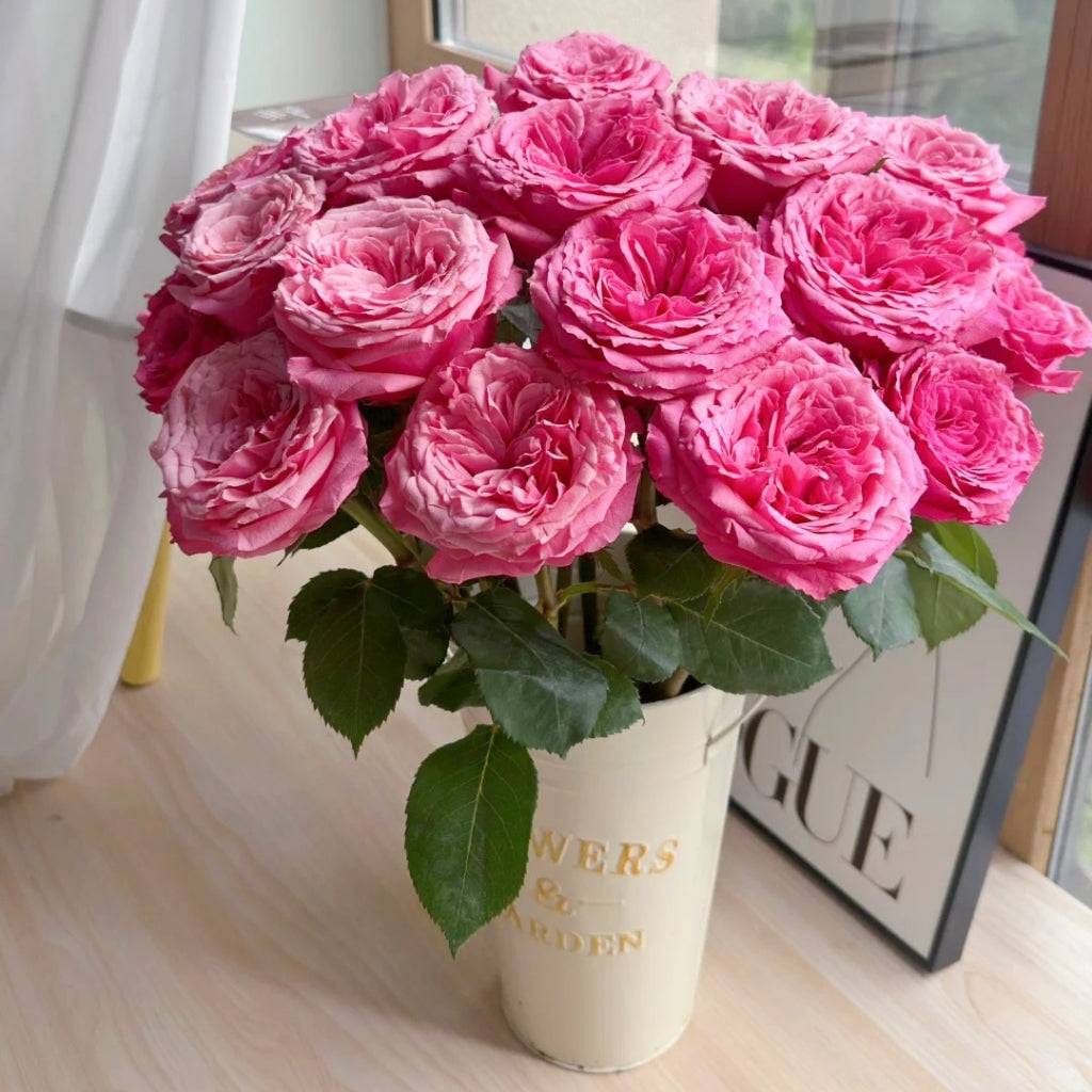 Cranberries Rose