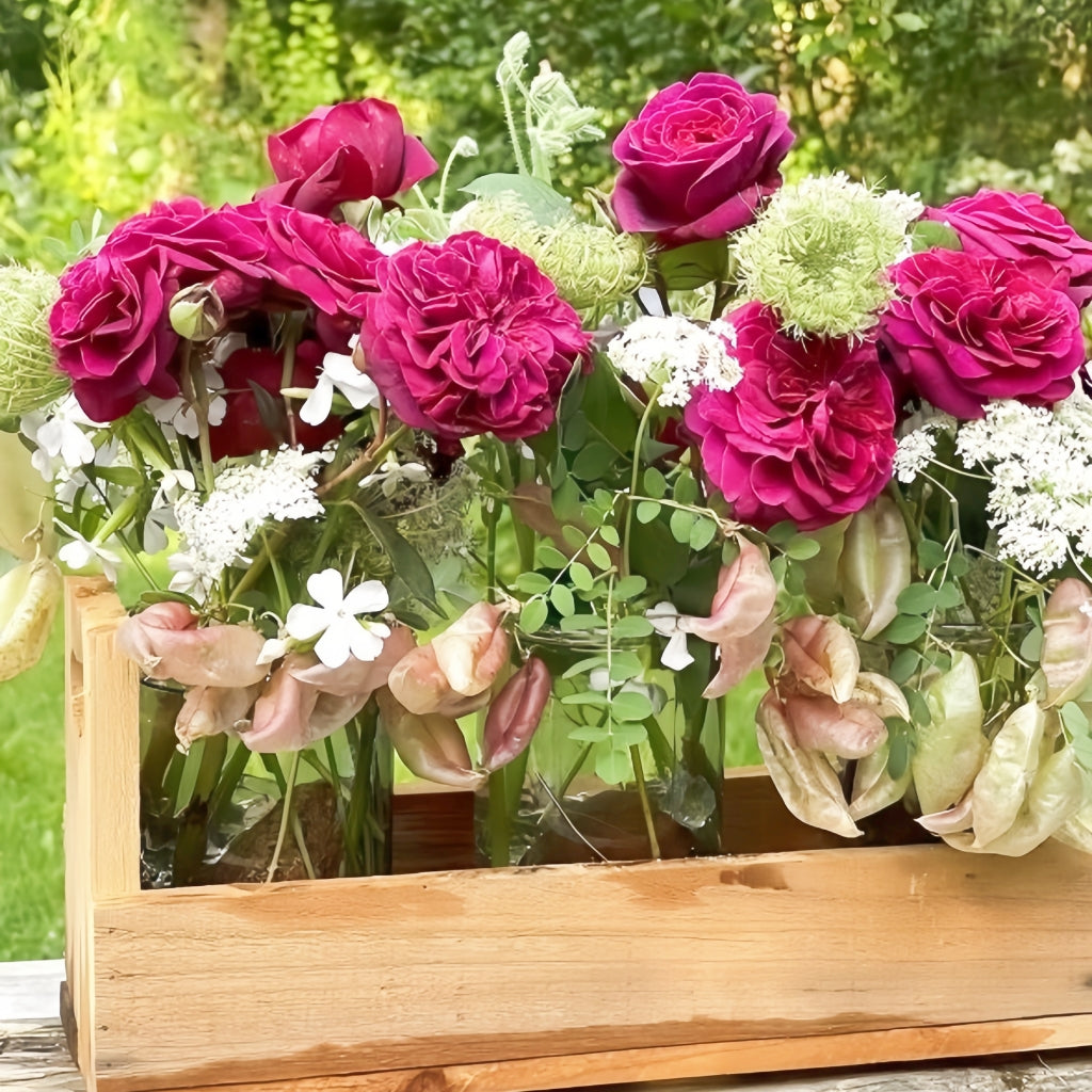 Deep Secret Rose