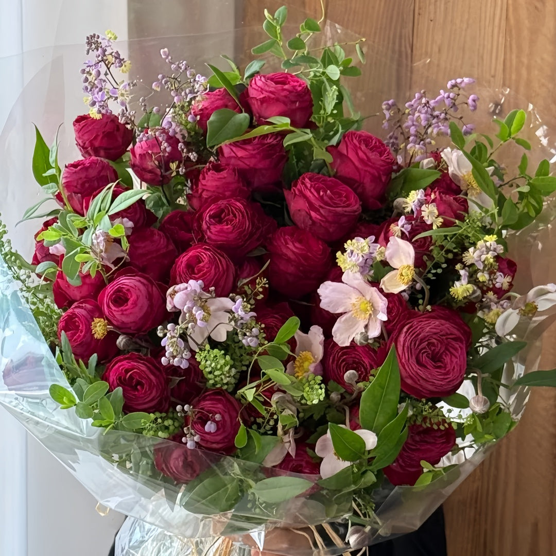 Dima Bombastic Dima Bombastic Rose – Rosesplant