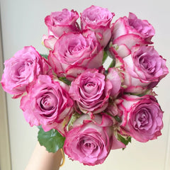 Feiyun Rose