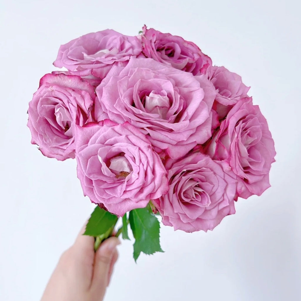 Feiyun Rose