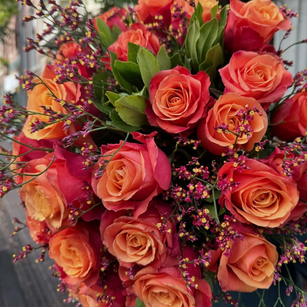 Fiyerlight Firelight Rose – Rosesplant