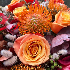 Firelight Rose