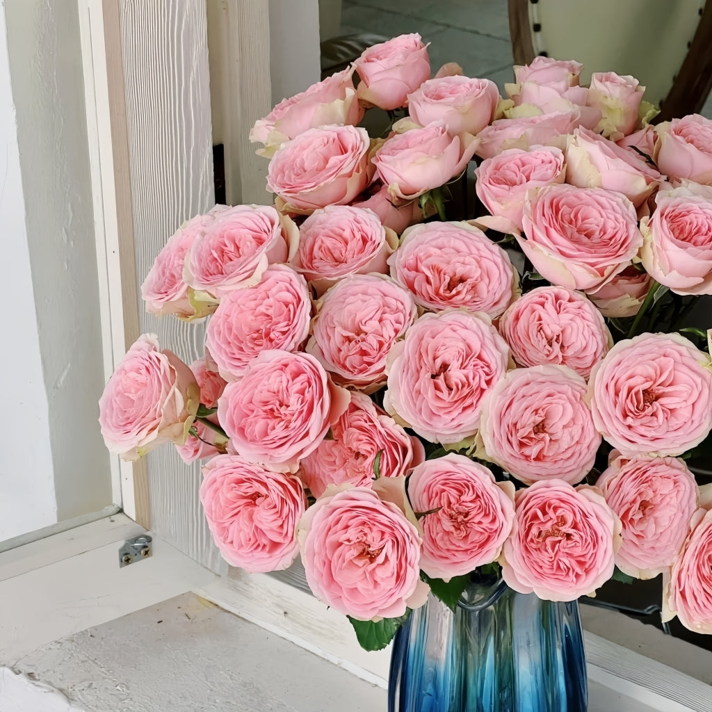 Flower Fairy Rose