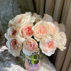 Fragrant Snow Rose