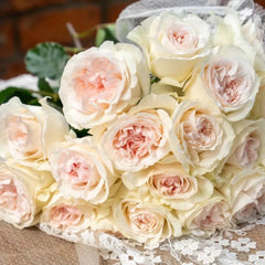 Fragrant Snow Rose