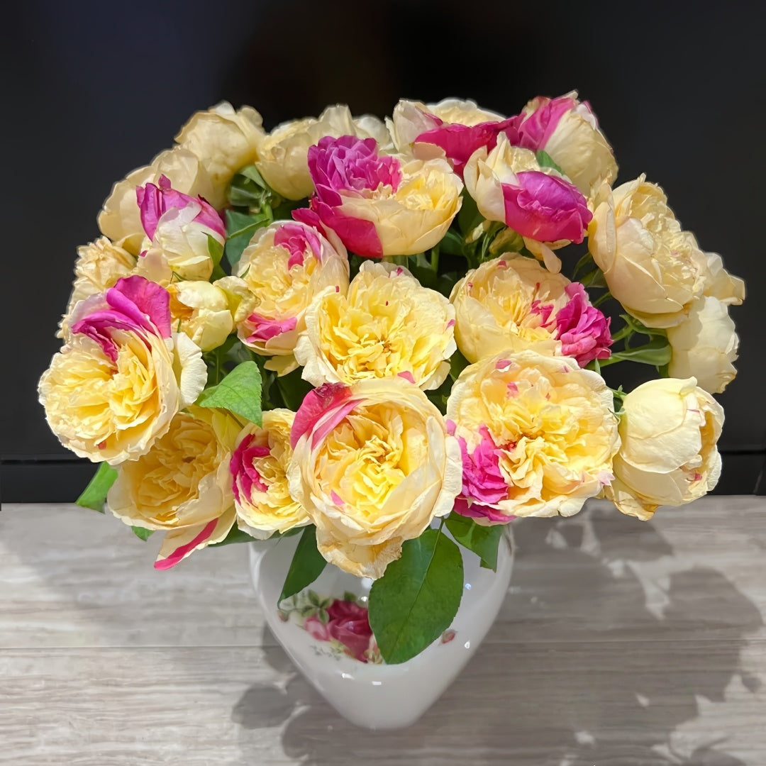 Fugetsu Rose