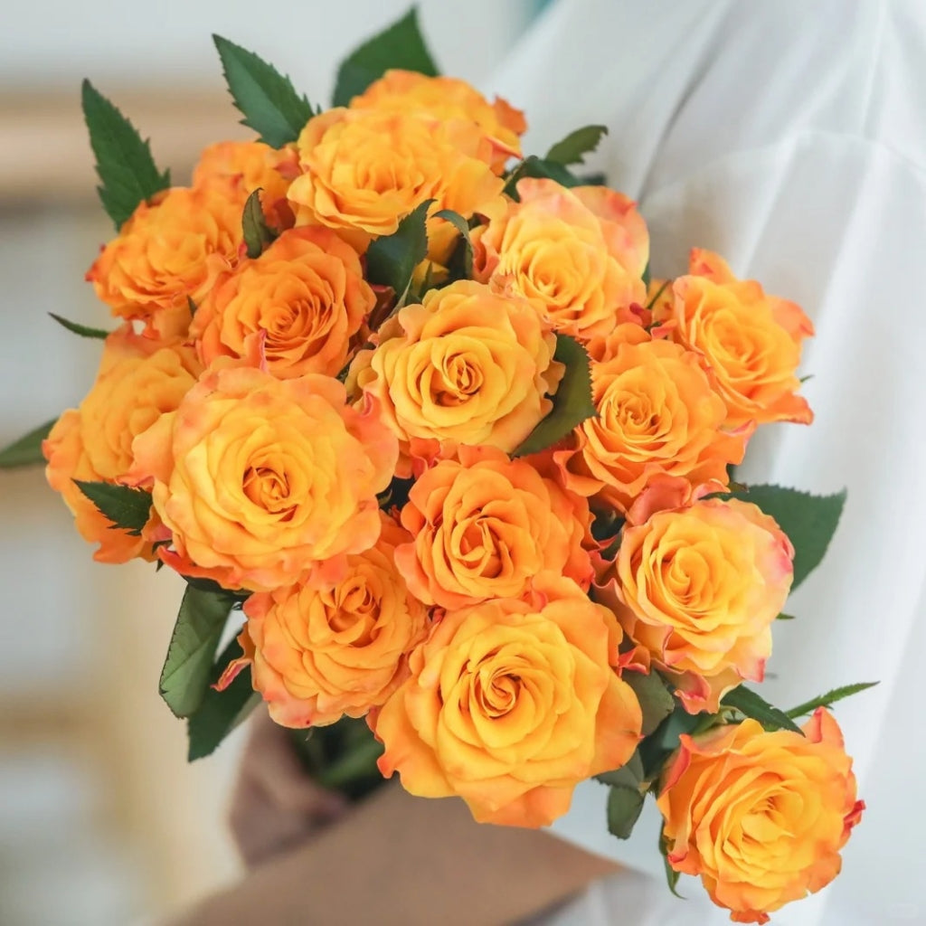 Gold Coast Rose