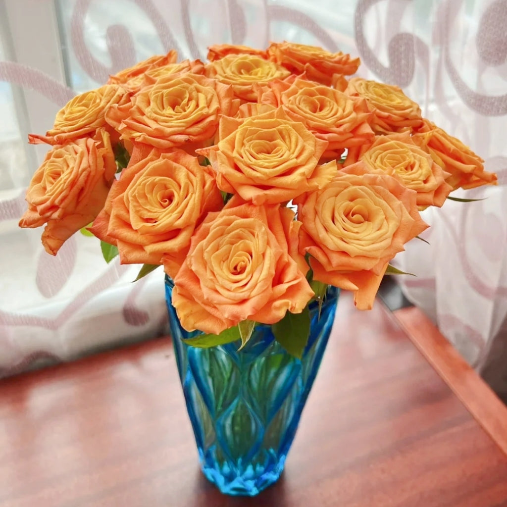 Gold Coast Rose