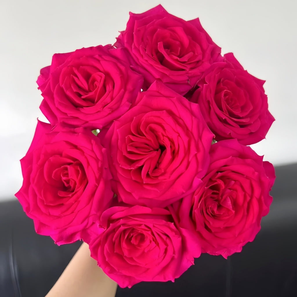 Good Vibes Rose
