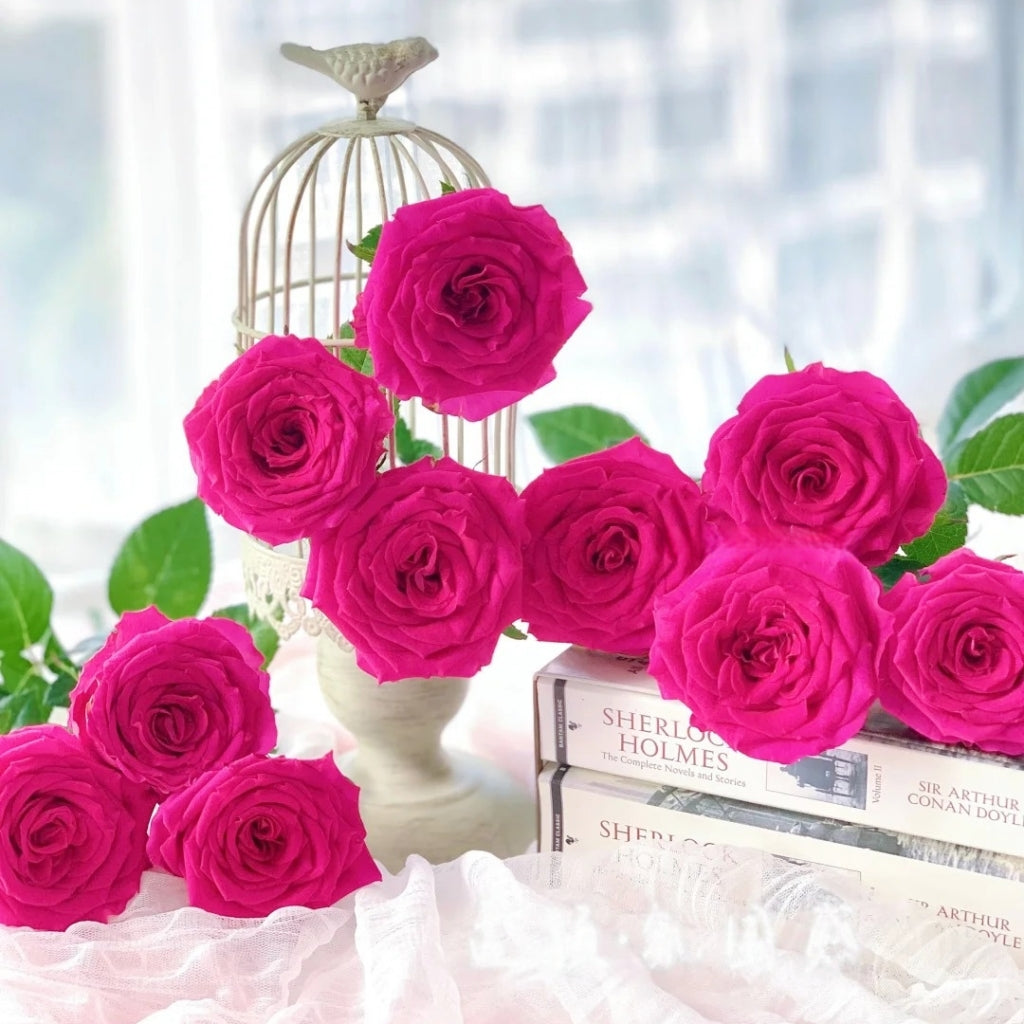 Good Vibes Rose