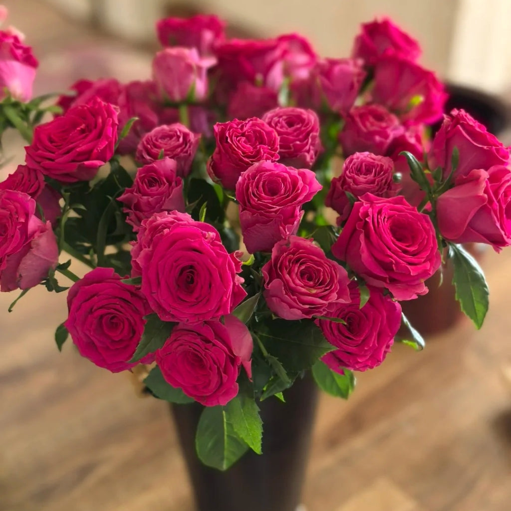 Good Vibes Rose