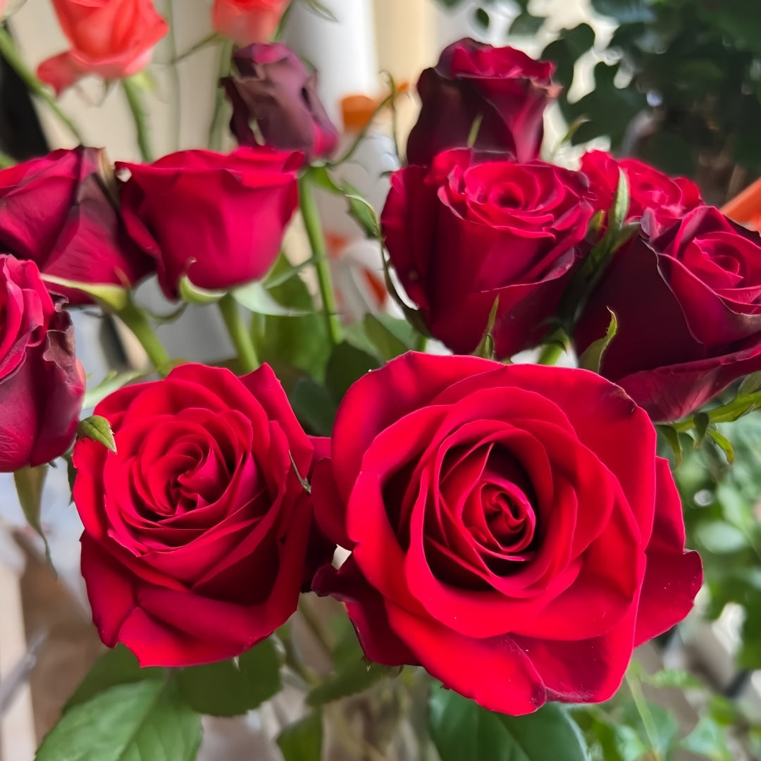 Grand Chateau Rose
