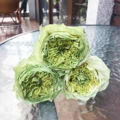 Green Eye Rose
