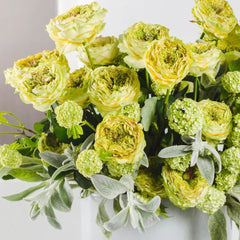Green Eye Rose