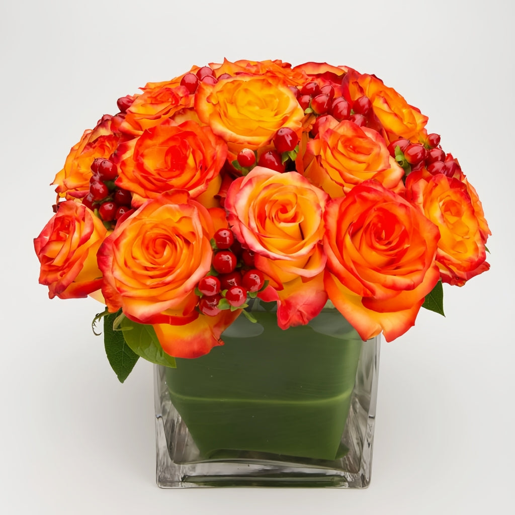 High Magic Rose