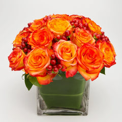 High Magic Rose