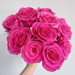 Hotspot Rose