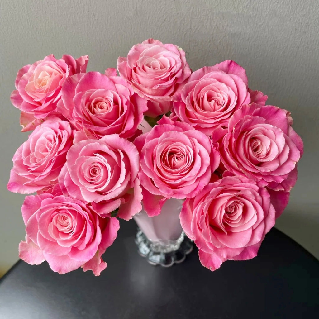 Ice Crown Princess Rose