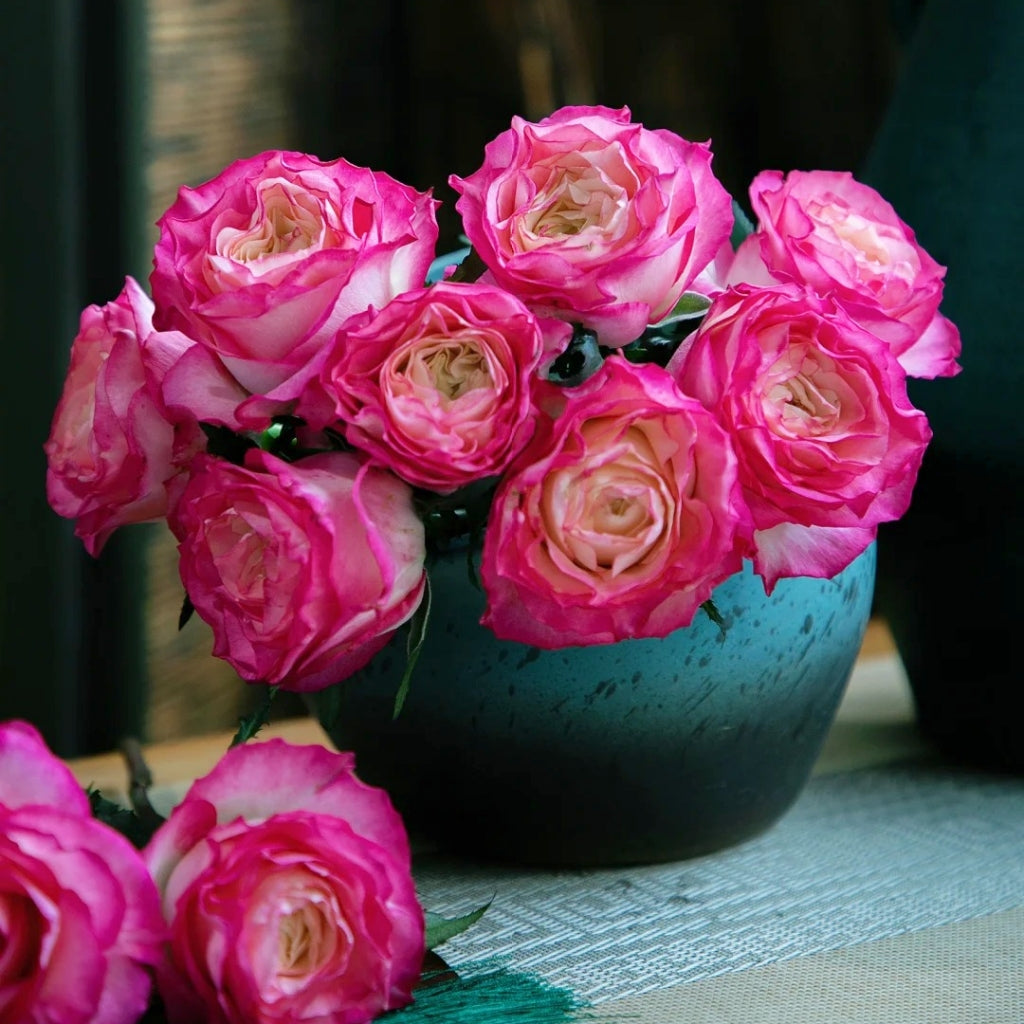 Ice Red Velvet Rose