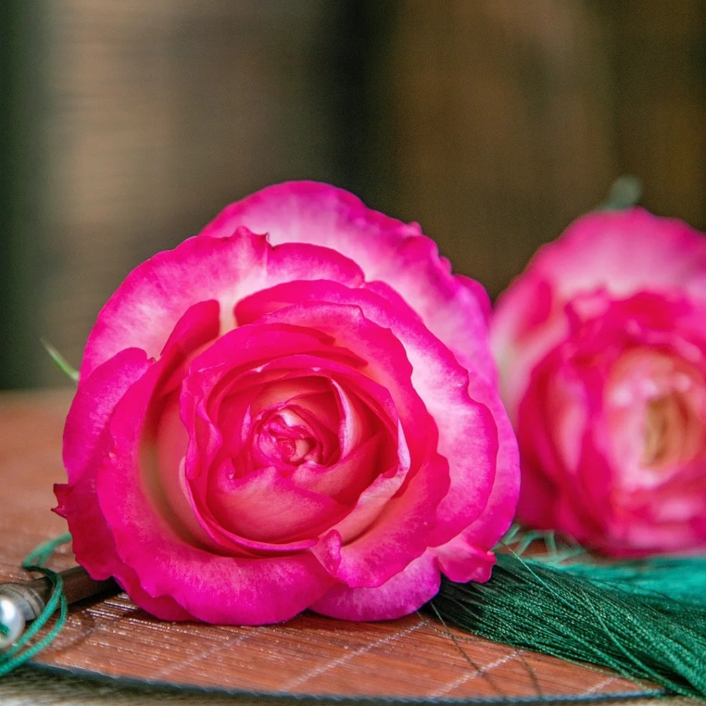 Ice Red Velvet Rose