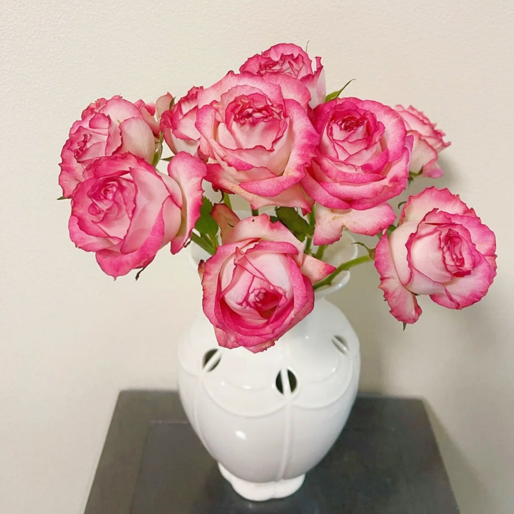 Ice Red Velvet Rose