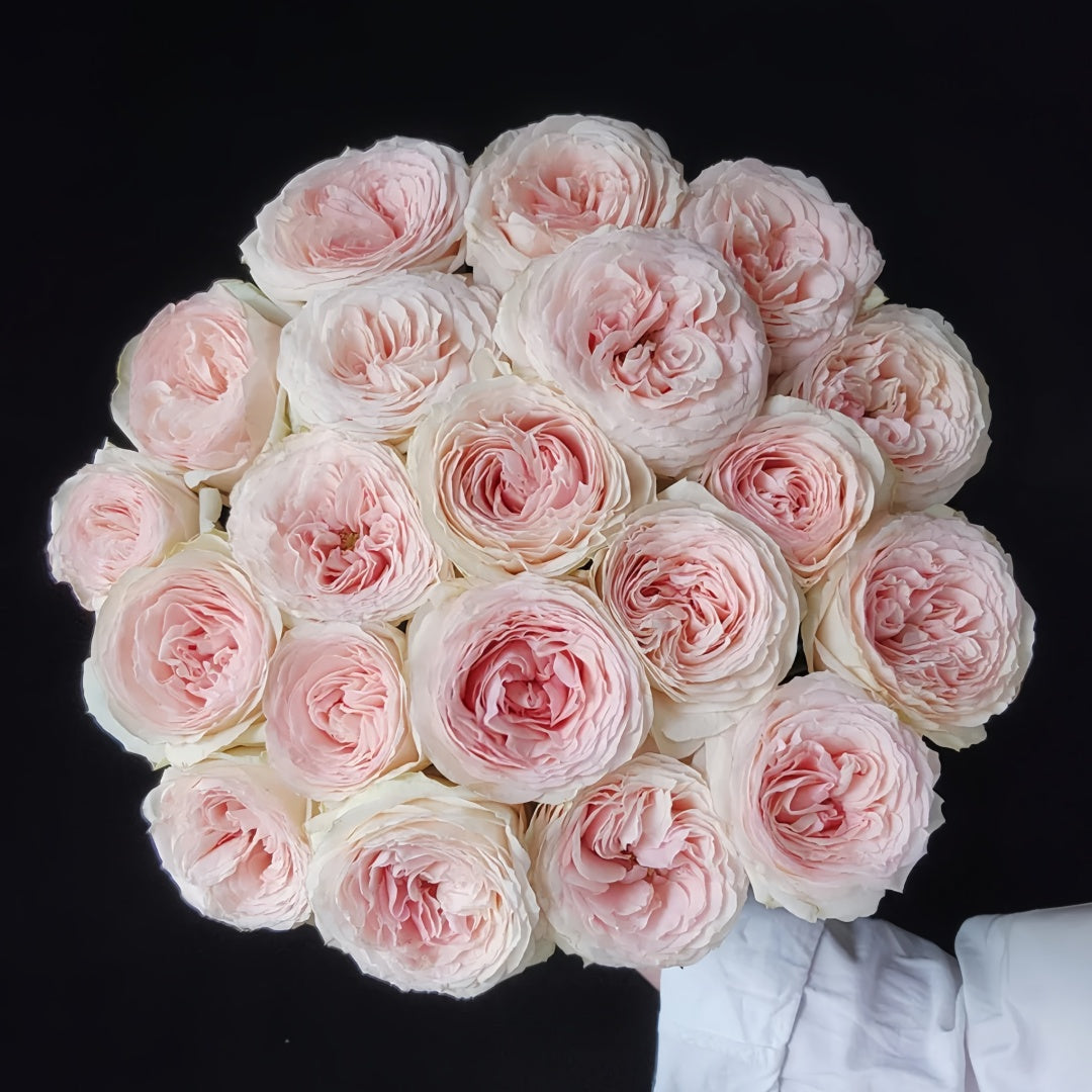 Jade Terrace Rose