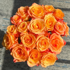 Jinhui Rose
