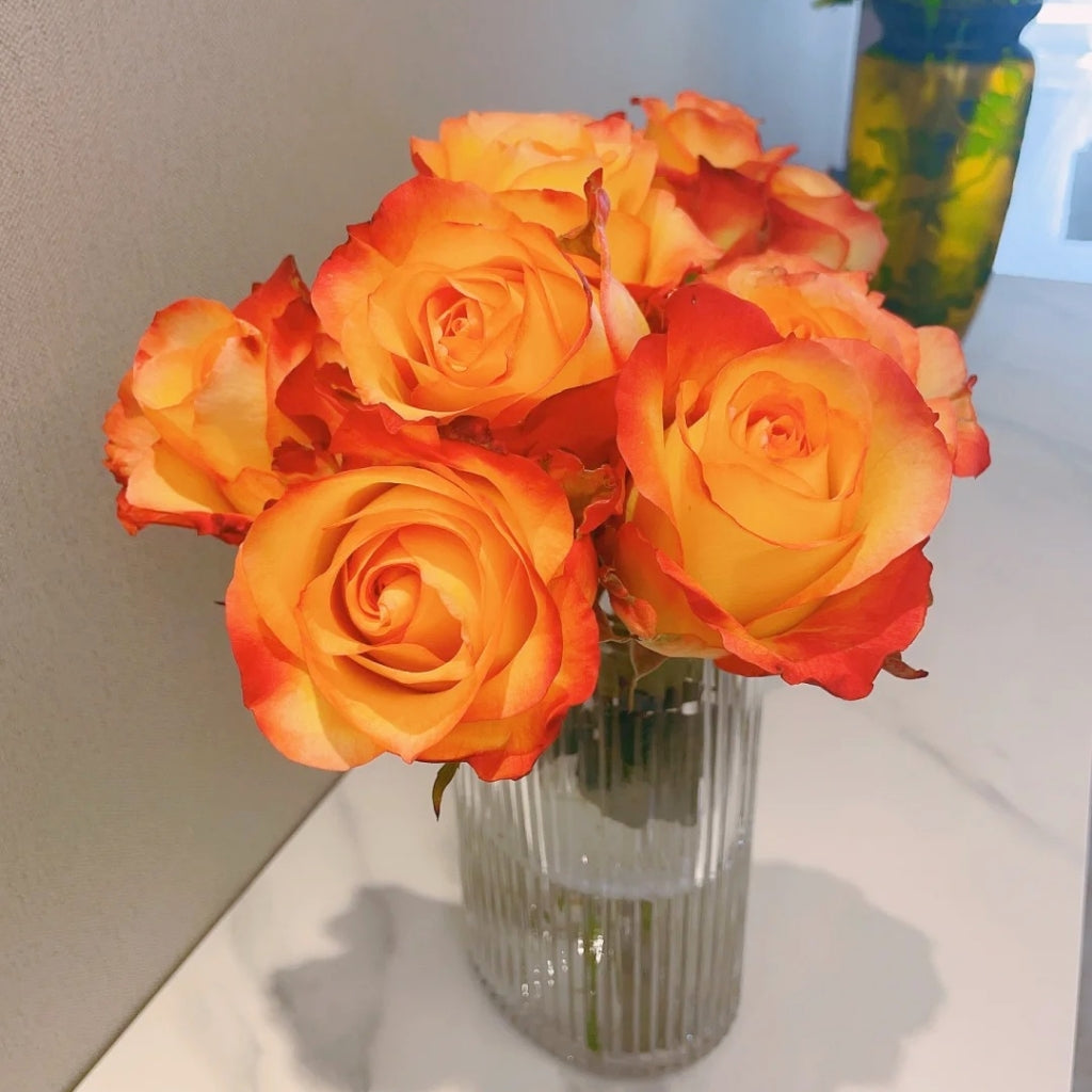 Jinhui Rose