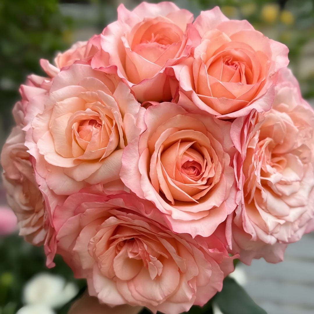 Joyce Rose