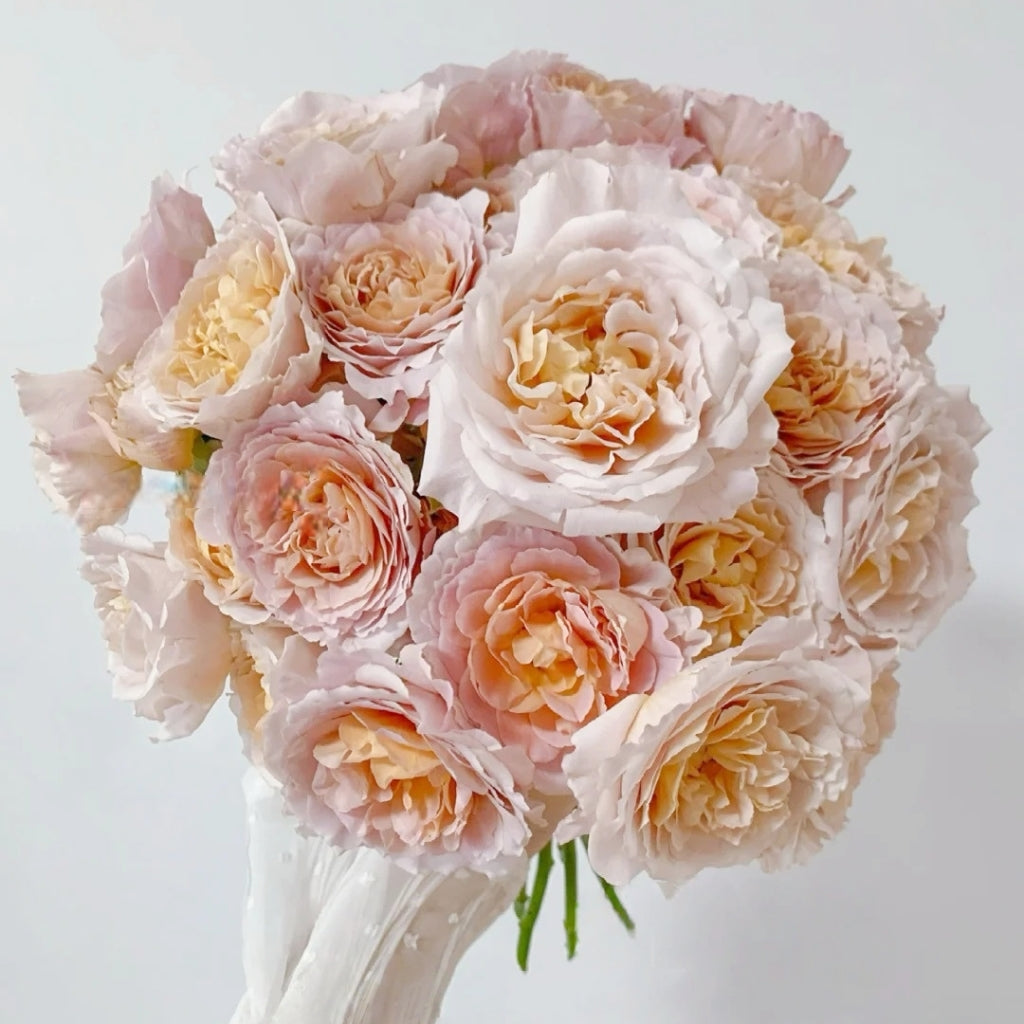 L'heure Magique Rose