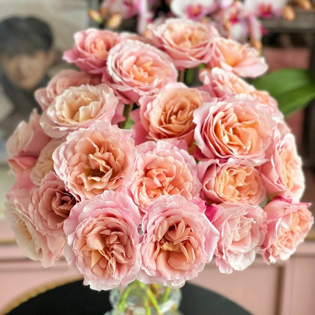 L'heure Magique Rose