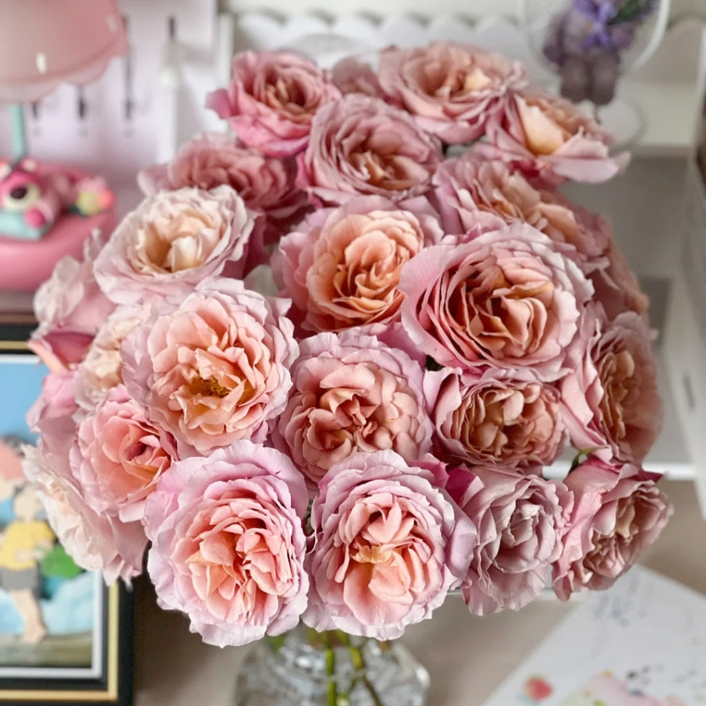 L'heure Magique Rose