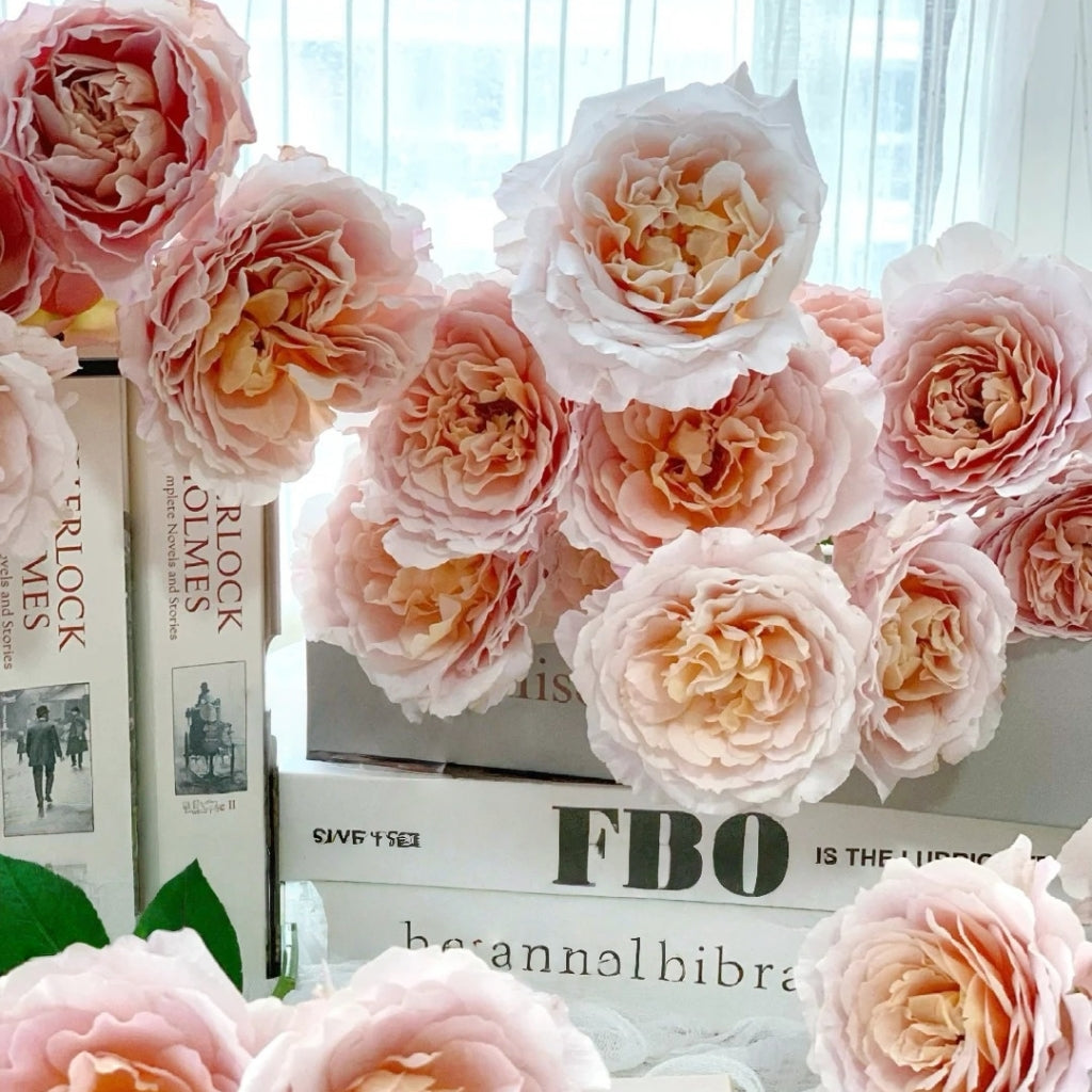 L'heure Magique Rose