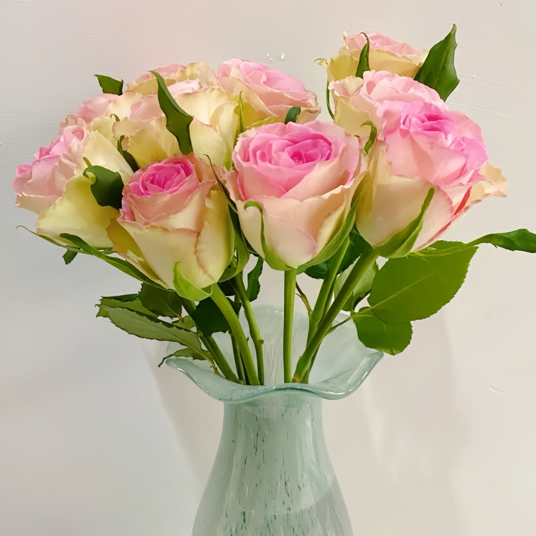 Lady Rose Plant