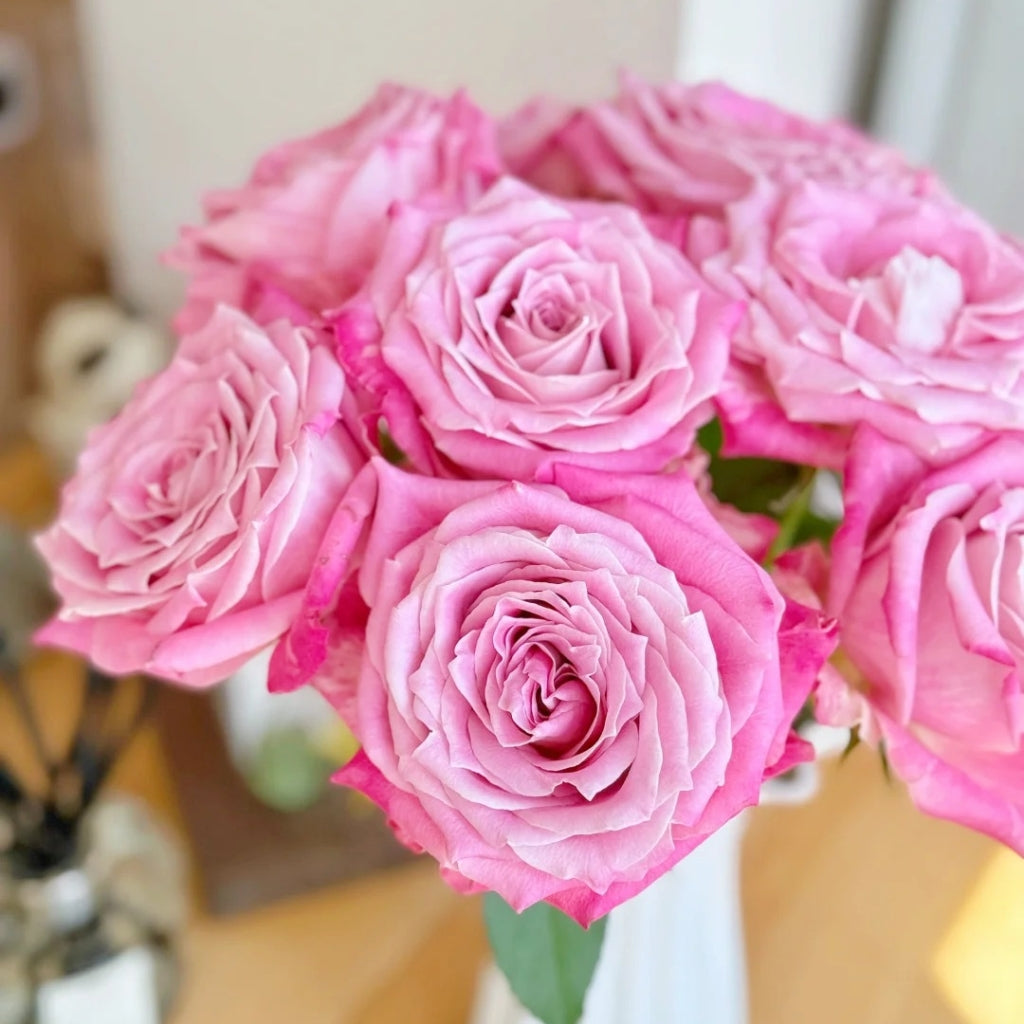 Lavender Grey Glaze Rose