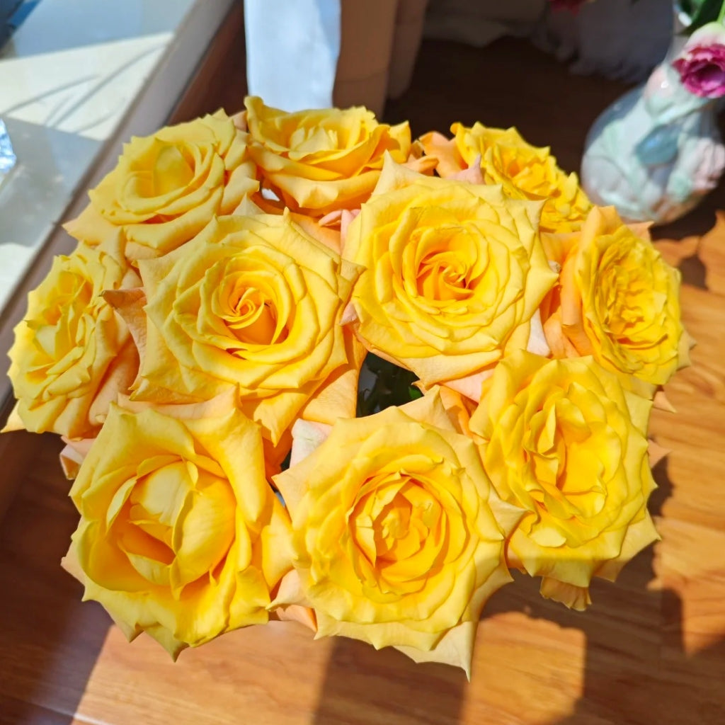 Pale Lemon Roses Lemon Milk Tea Rose – Rosesplant
