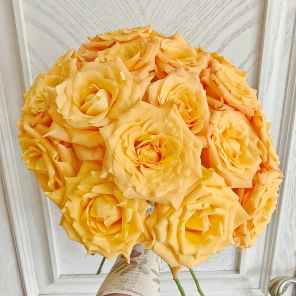 Lemon Milk Tea Rose