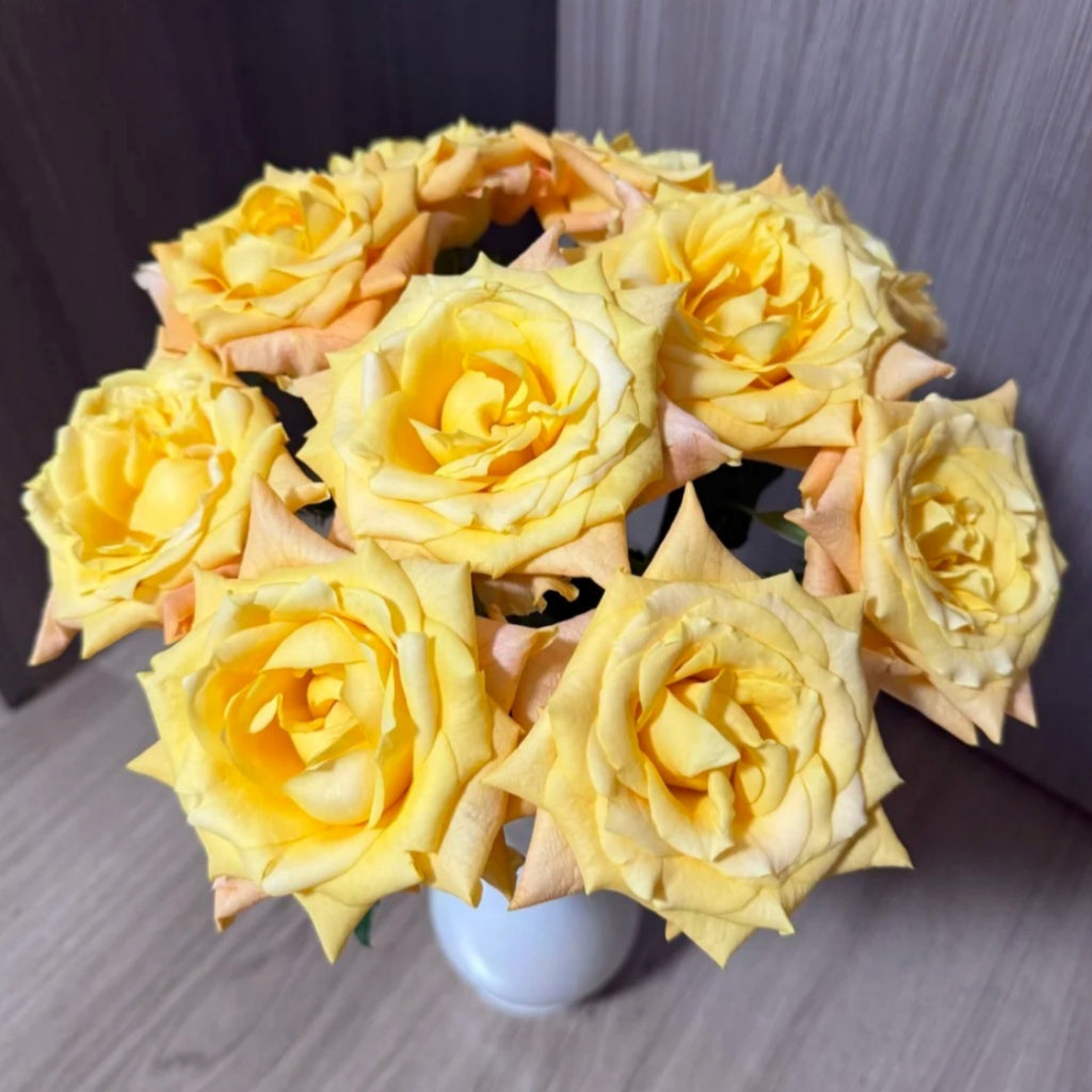 Lemon Milk Tea Rose