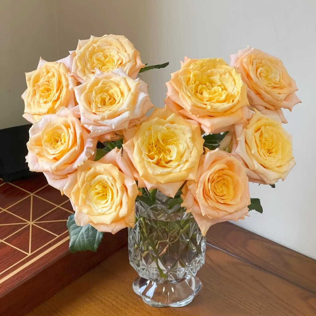Lemon Milk Tea Rose