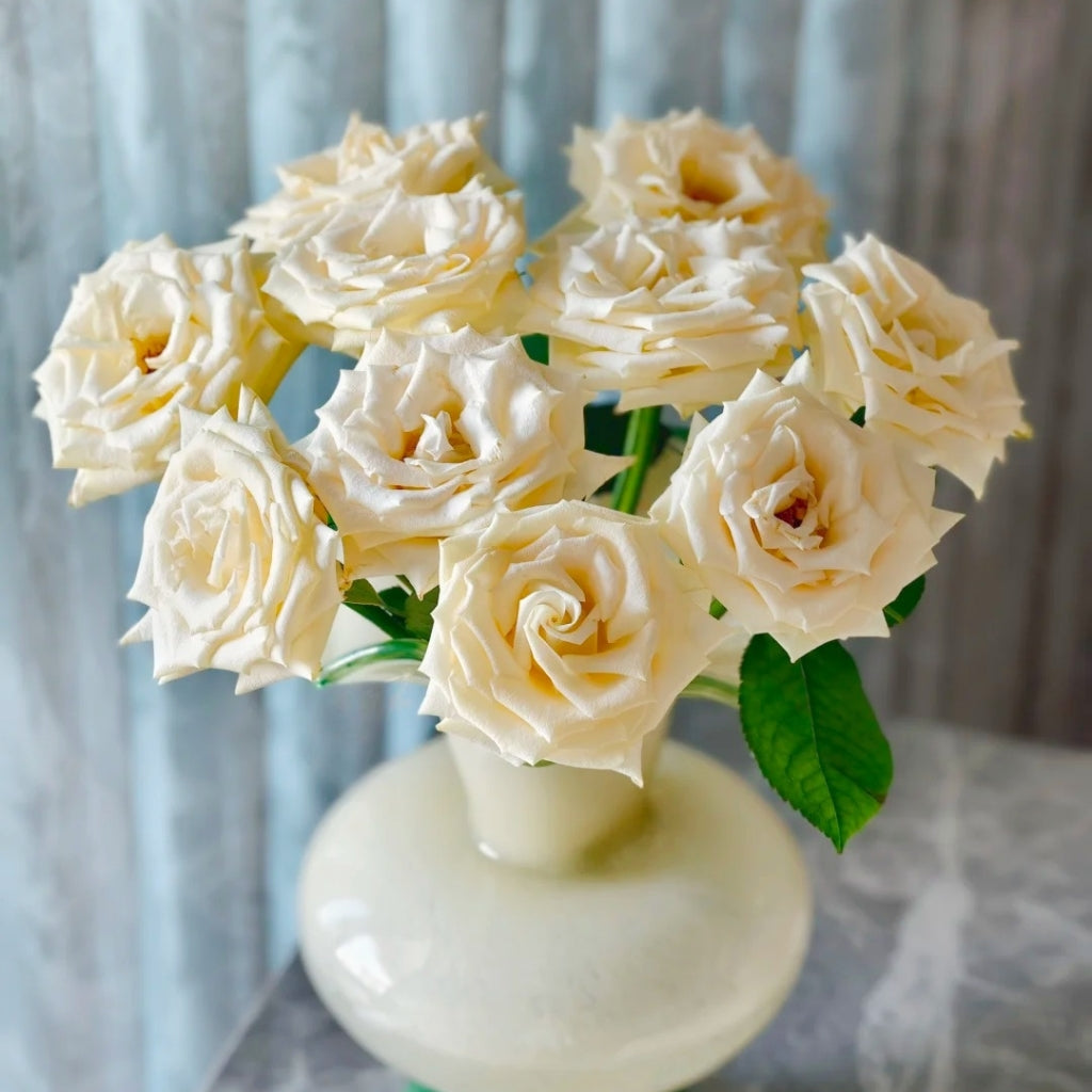 Little Butter Rose