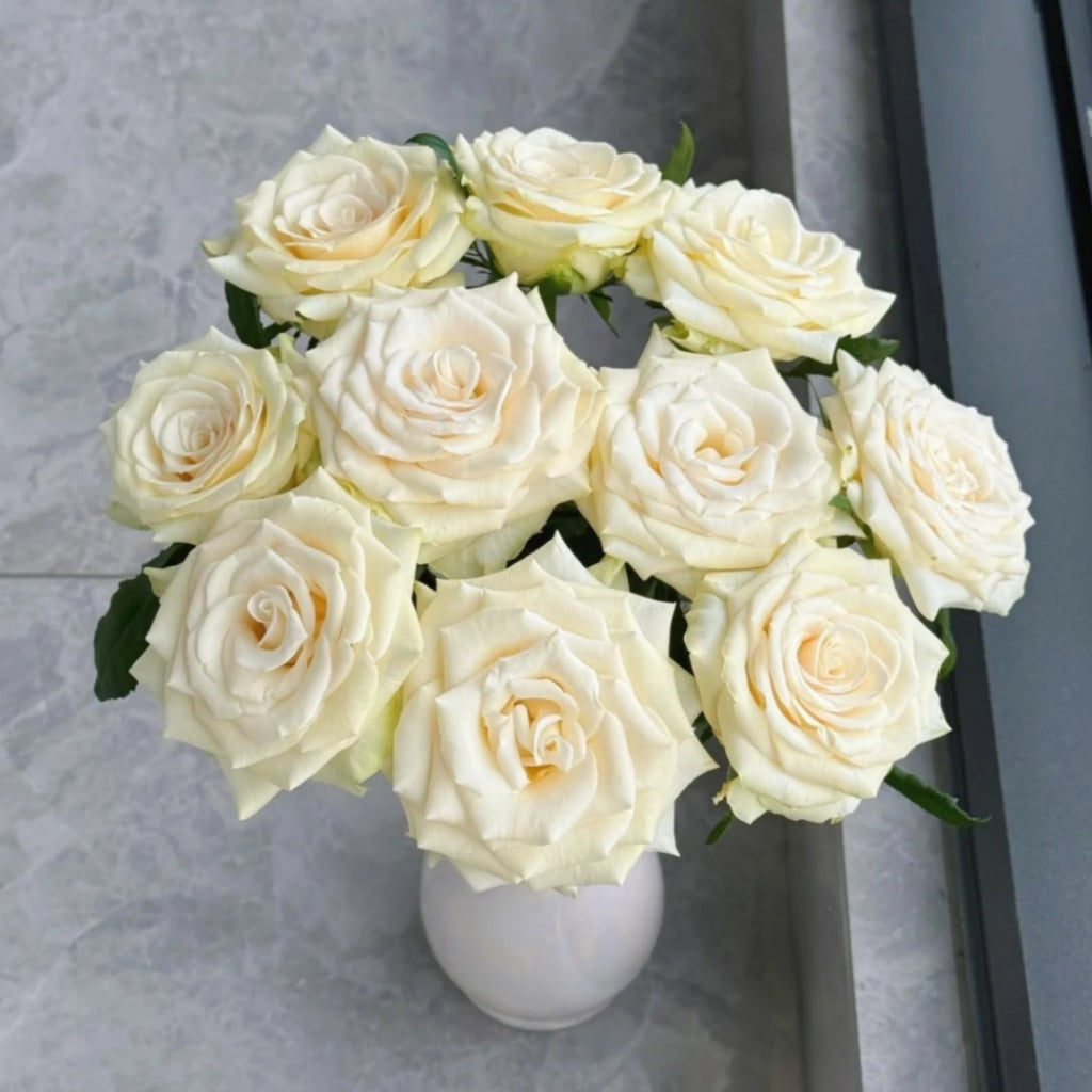 Little Butter Rose