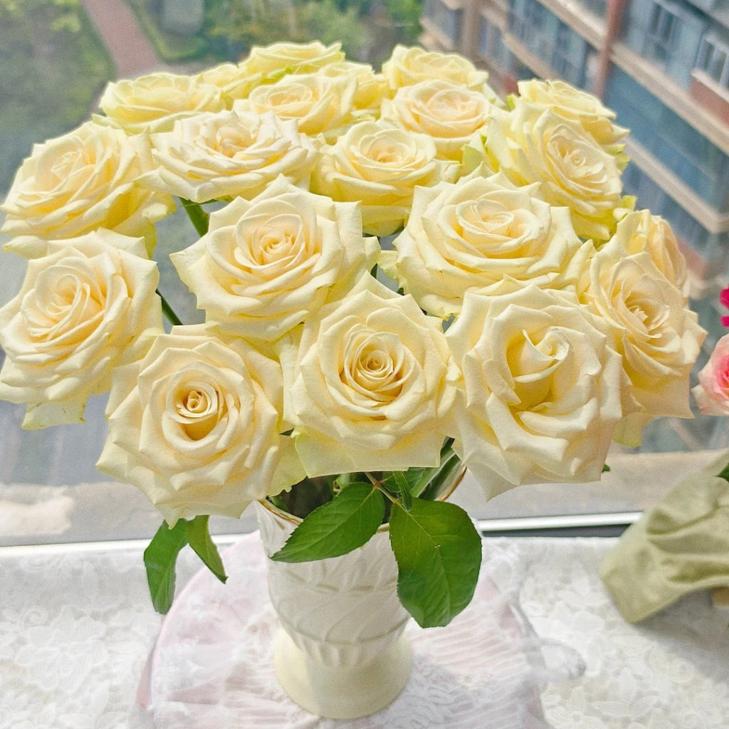 Little Butter Rose
