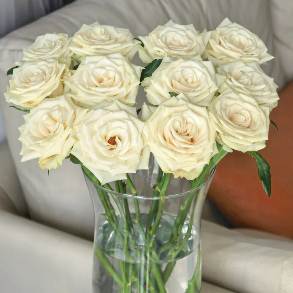 Little Butter Rose