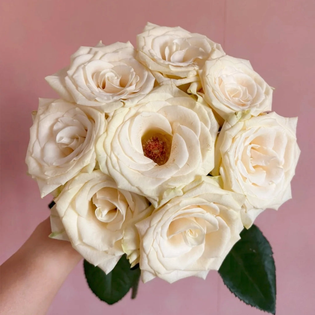 Little Butter Rose