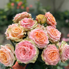 Love Pearl Rose