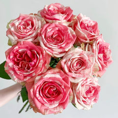 Magic Times Rose