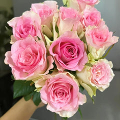 Malibu Rose